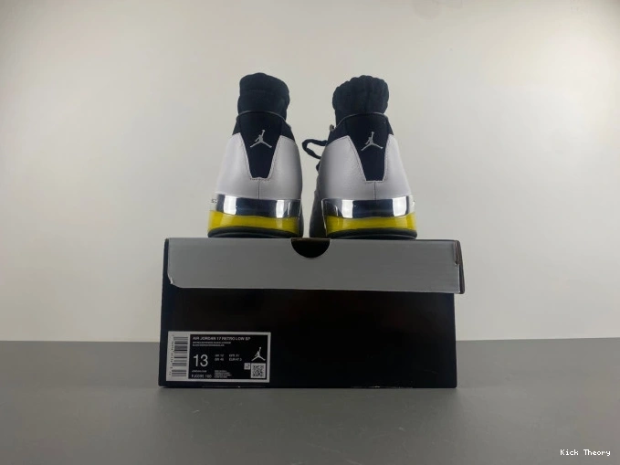 Kicktheory FJ0395-100 Lightning Jordan Low Air 17 0815